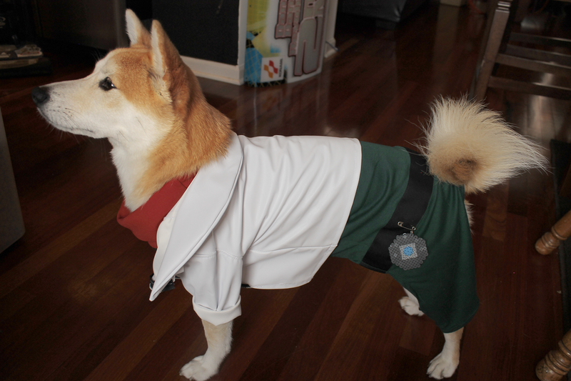Illustration for article titled Star Doge